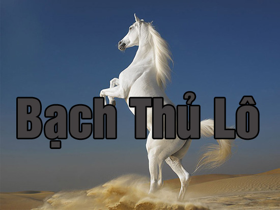 Bach-thu-lo-la-gi