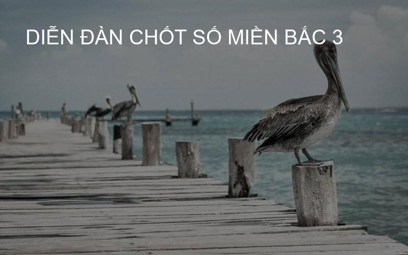 diễn đàn chốt số miền bắc 3