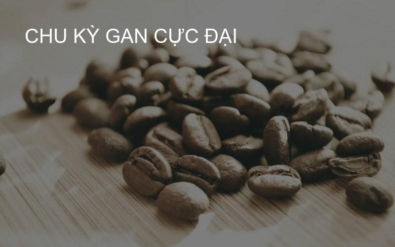 Chu kỳ gan cực đại