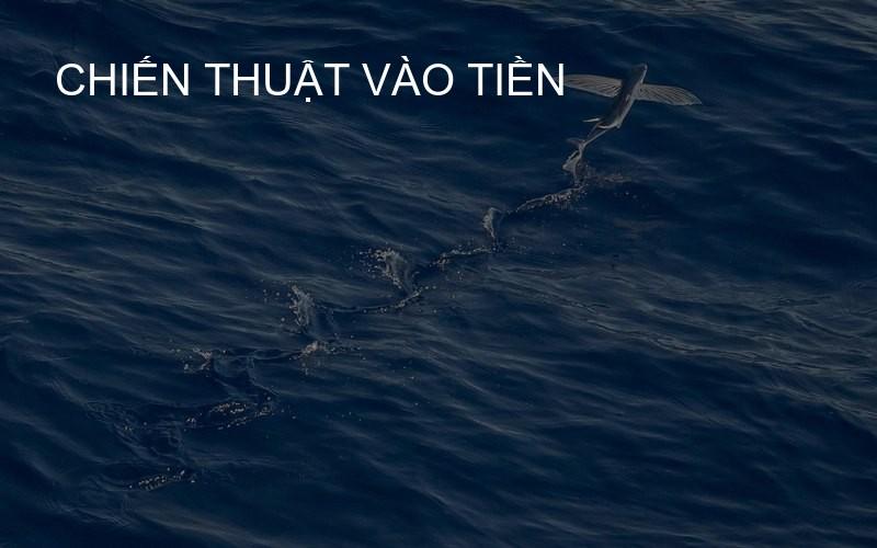 Chiến Thuật Vào Tiền