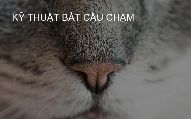 Kỹ thuật bắt Cầu Chạm