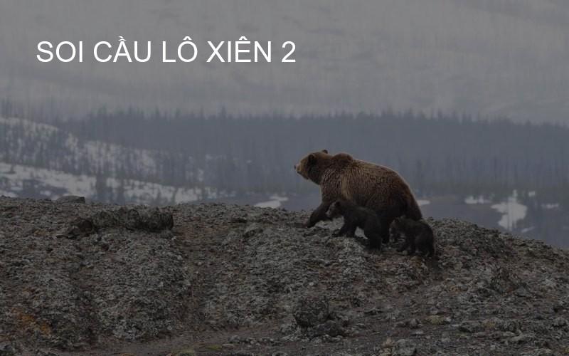 Soi Cầu Lô Xiên 2