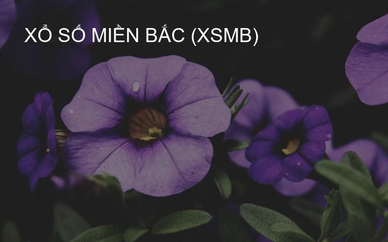 Xổ Số Miền Bắc (XSMB)