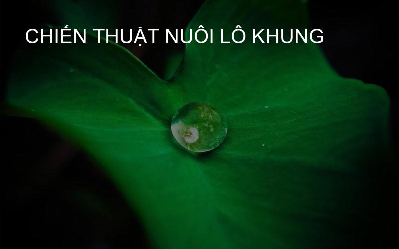 Chiến thuật nuôi lô khung