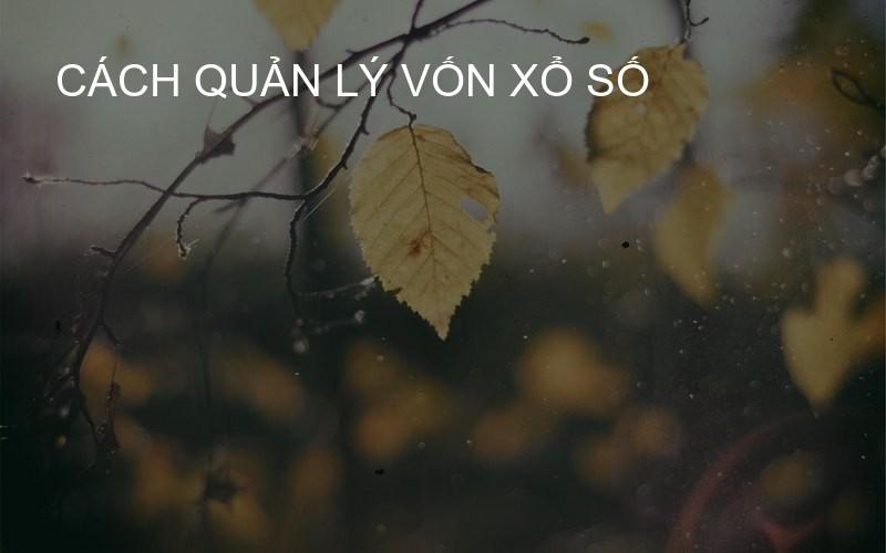 cách quản lý vốn xổ số