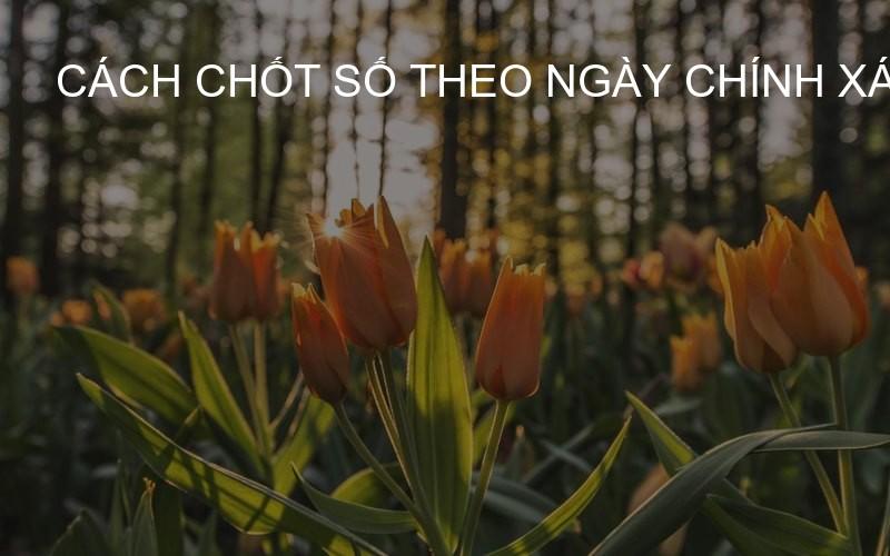 cách chốt số theo ngày chính xác