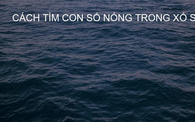 cách tìm con số nóng trong xổ số