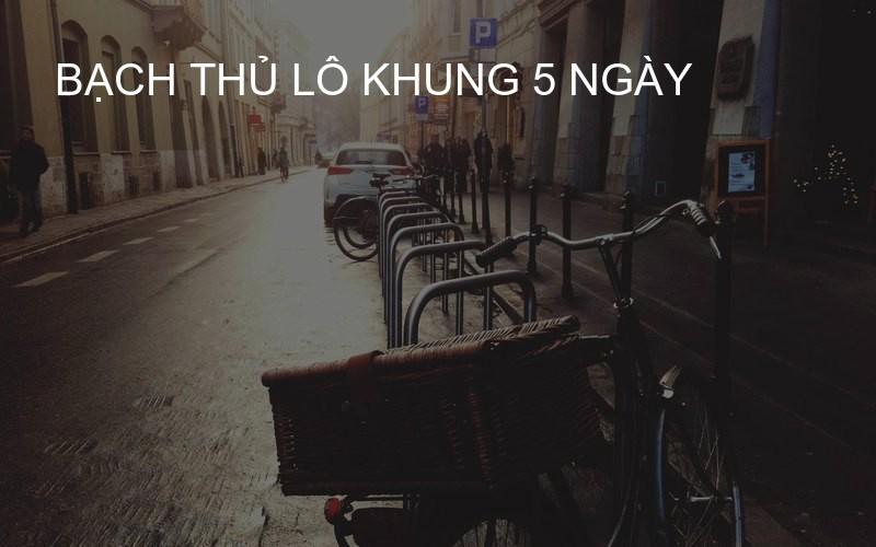 bạch thủ lô khung 5 ngày