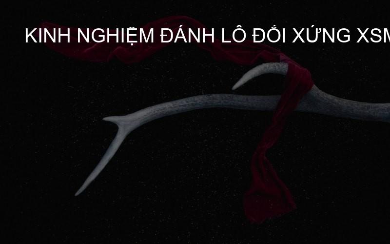 kinh nghiệm đánh lô đối xứng XSMB