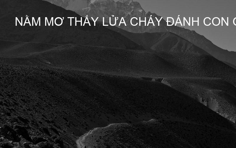 nằm mơ thấy lửa cháy đánh con gì