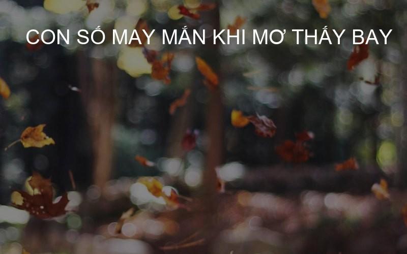 con số may mắn khi mơ thấy bay