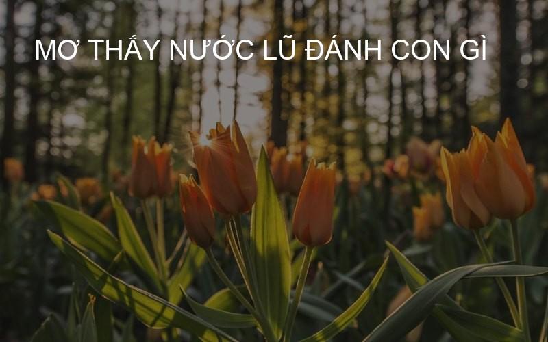 mơ thấy nước lũ đánh con gì