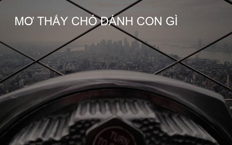 mơ thấy chó đánh con gì