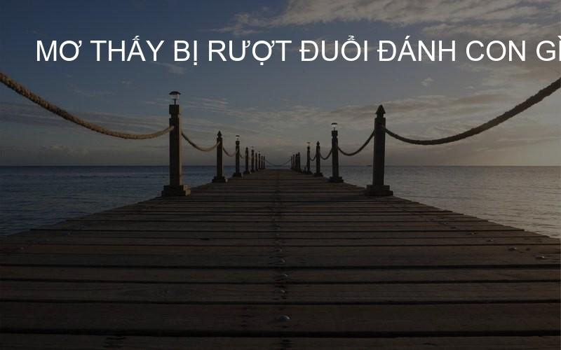 mơ thấy bị rượt đuổi đánh con gì