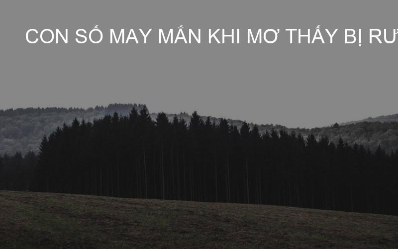 con số may mắn khi mơ thấy bị rượt đuổi