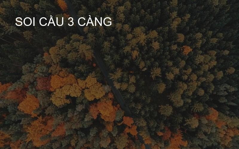 soi cầu 3 càng