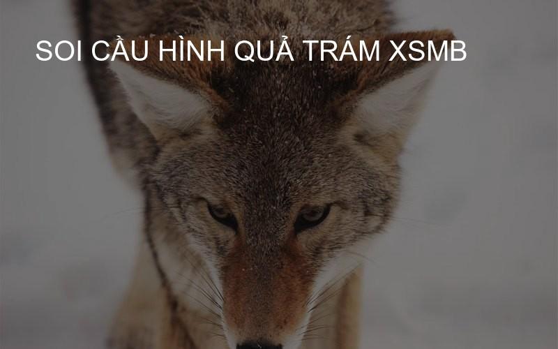 Soi cầu hình quả trám XSMB