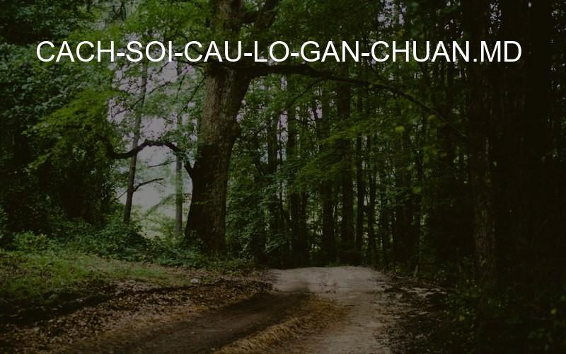 cach-soi-cau-lo-gan-chuan.md