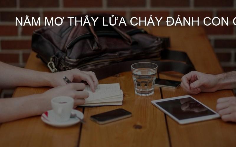 nằm mơ thấy lửa cháy đánh con gì