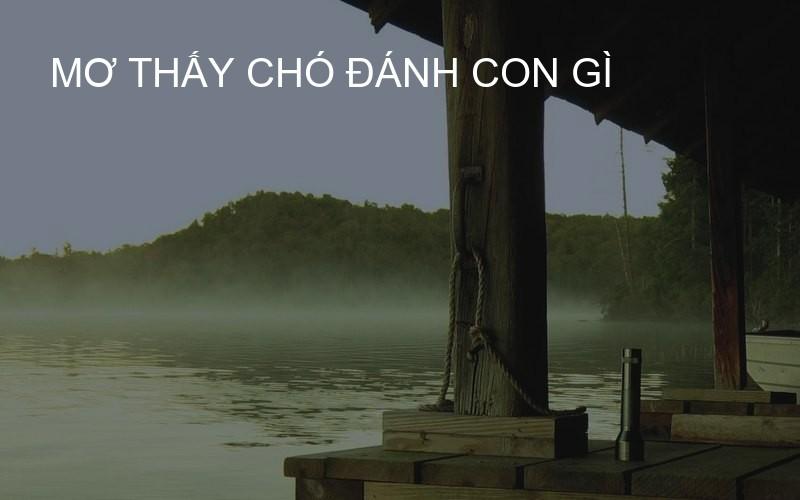 mơ thấy chó đánh con gì