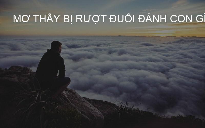 mơ thấy bị rượt đuổi đánh con gì