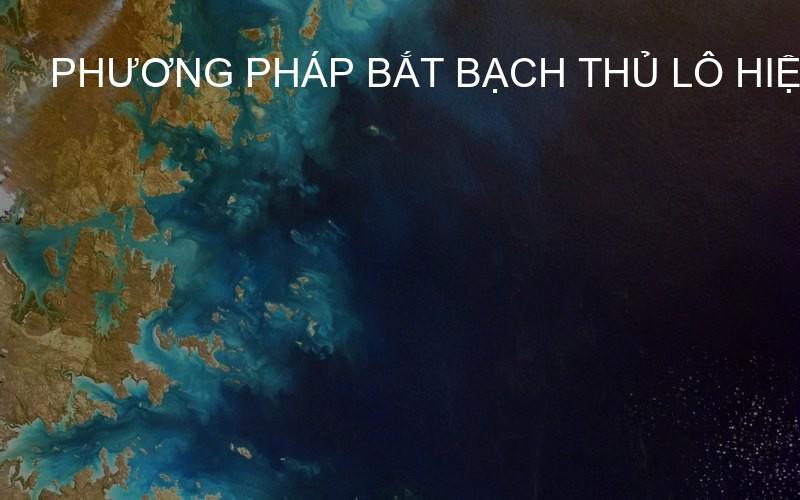 phương pháp bắt bạch thủ lô hiệu quả
