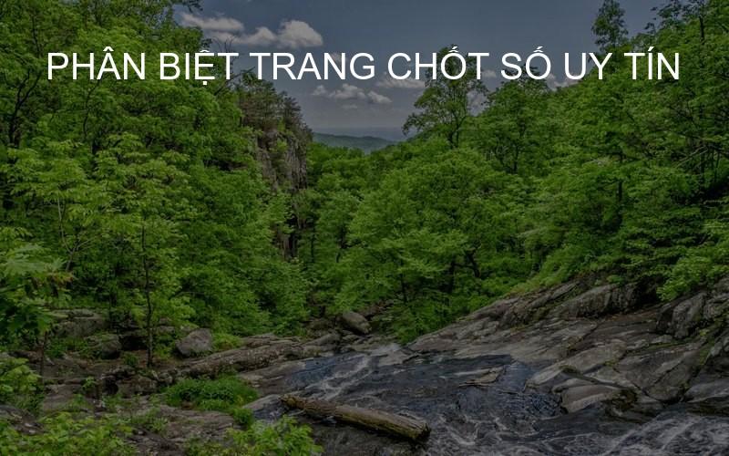Phân biệt trang chốt số uy tín