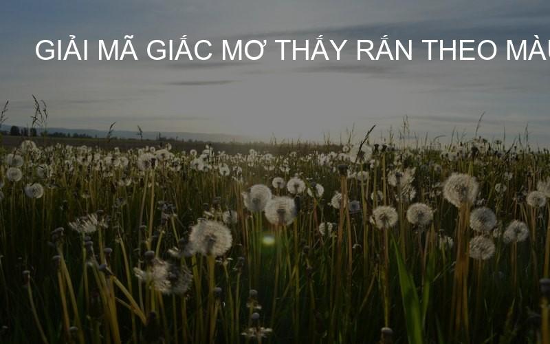 giải mã giấc mơ thấy rắn theo màu sắc