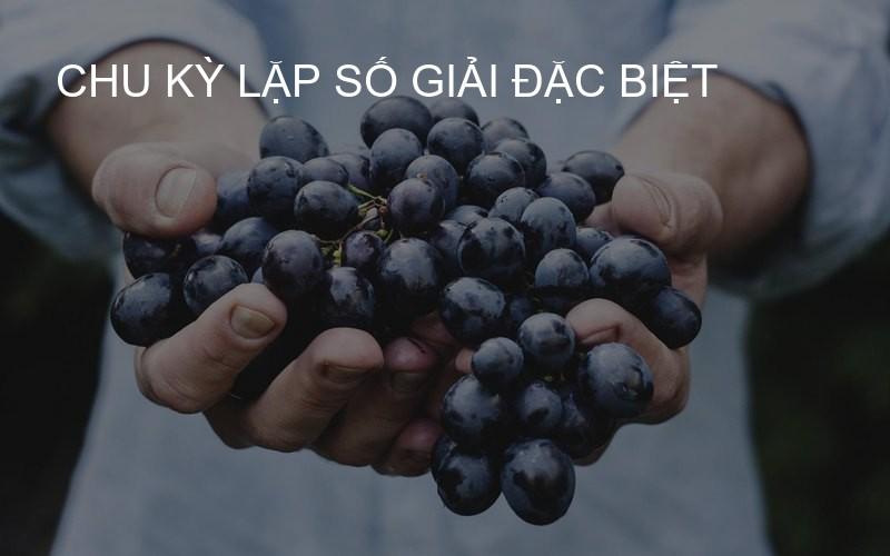 chu kỳ lặp số giải đặc biệt