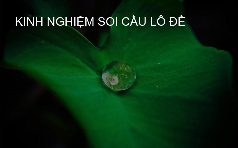 kinh nghiệm soi cầu lô đề