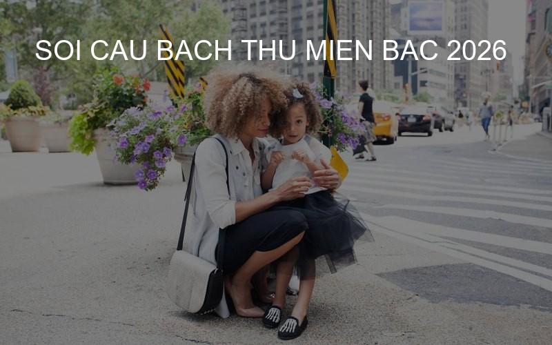 soi cau bach thu mien bac 2026