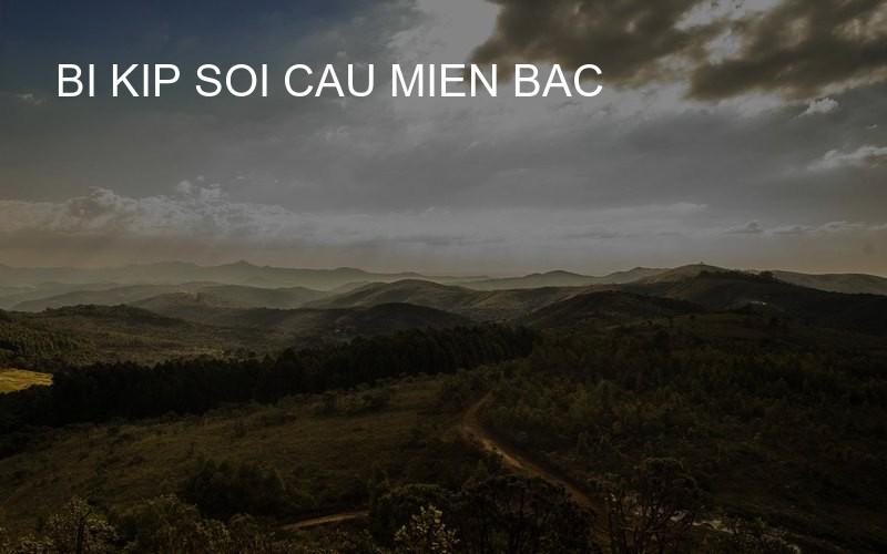 bi kip soi cau mien bac
