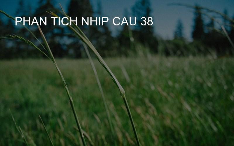phan tich nhip cau 38