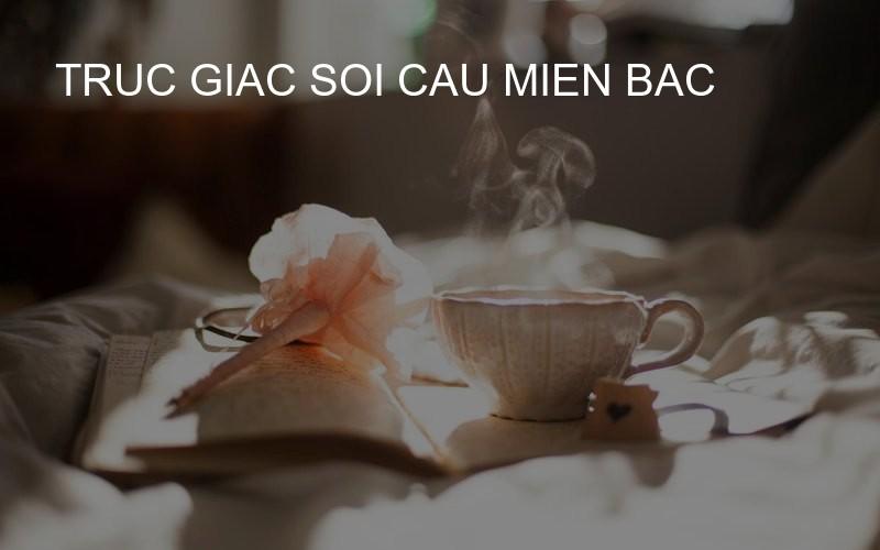 truc giac soi cau mien bac