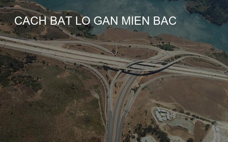 cach bat lo gan mien bac