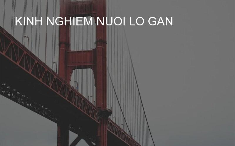 kinh nghiem nuoi lo gan