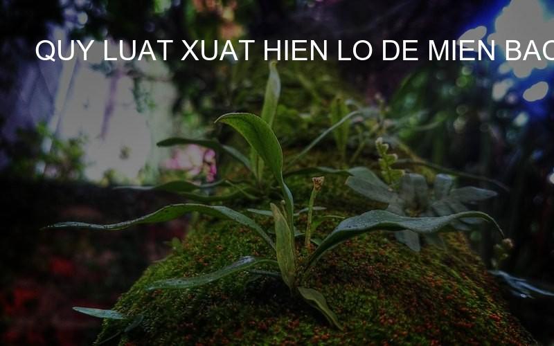 quy luat xuat hien lo de mien bac