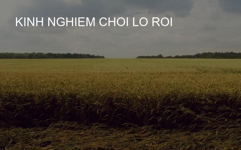 kinh nghiem choi lo roi