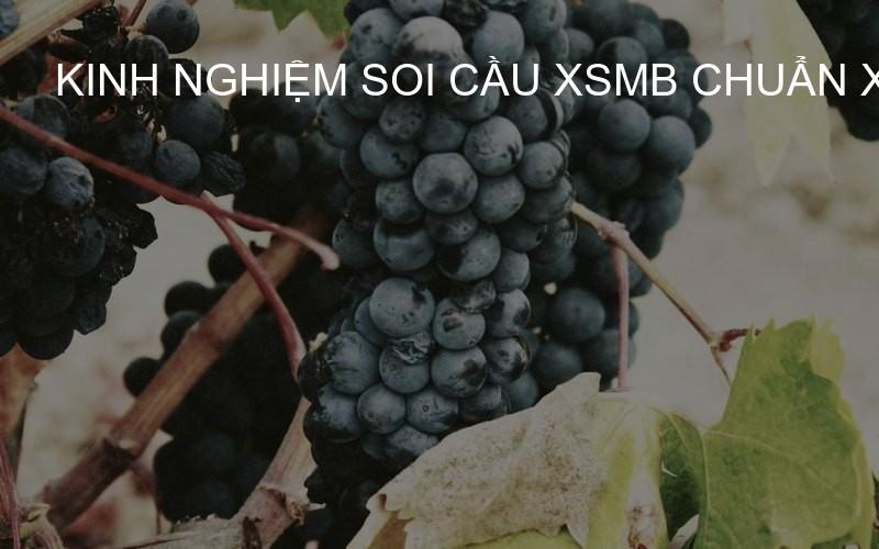 kinh nghiệm soi cầu XSMB chuẩn xác