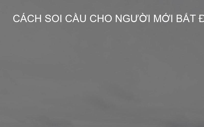 Cách soi cầu cho người mới bắt đầu