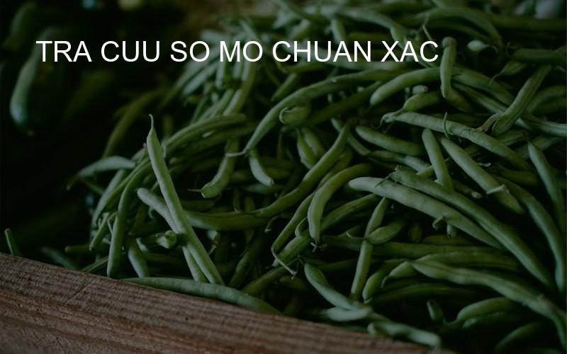 tra cuu so mo chuan xac