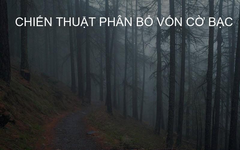 chiến thuật phân bổ vốn cờ bạc