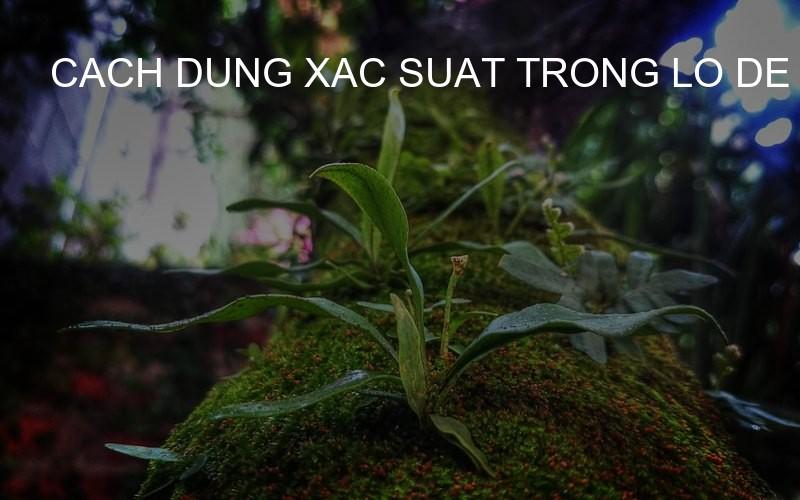 cach dung xac suat trong lo de