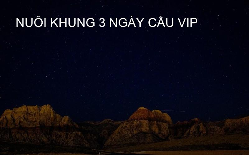 nuôi khung 3 ngày cầu VIP