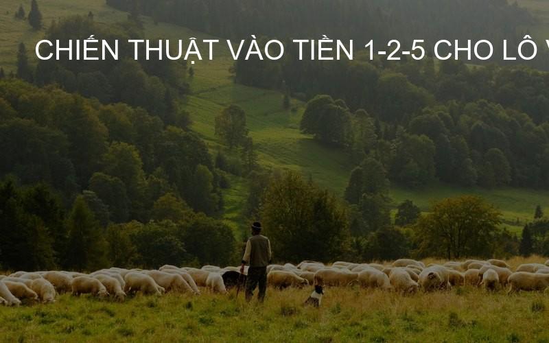 chiến thuật vào tiền 1-2-5 cho lô VIP