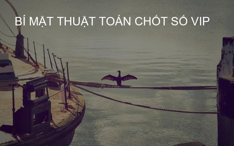 bí mật thuật toán chốt số VIP
