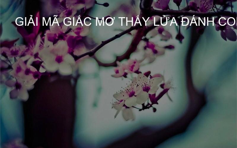 giải mã giấc mơ thấy lửa đánh con gì