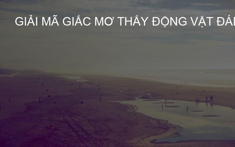 giải mã giấc mơ thấy động vật đánh con gì