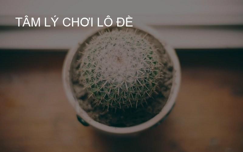 tâm lý chơi lô đề