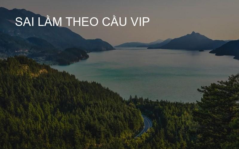 sai lầm theo cầu VIP
